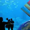 Aquarium Videos delete, cancel