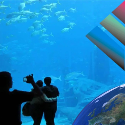 Aquarium Videos icon