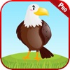 Bird Sounds Animal Kids Games