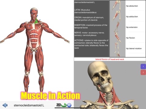 Visual Anatomy Liteのおすすめ画像1