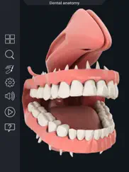 my dental anatomy ipad resimleri 3