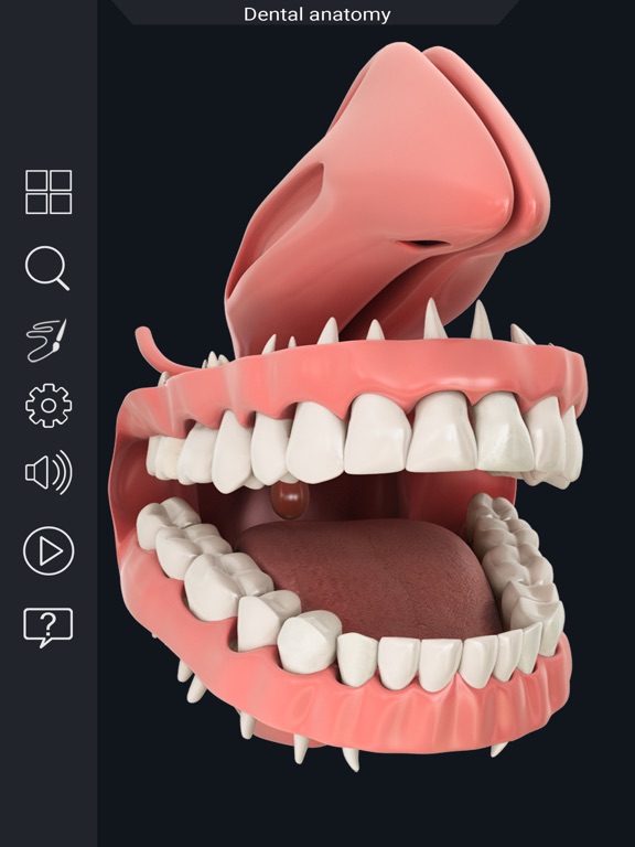 Screenshot #6 pour My Dental Anatomy