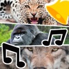 Animal Ringtones & Sounds icon