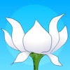 Lotus Bud Meditation Timer icon