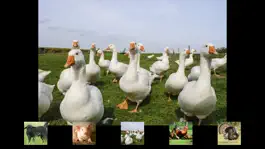 Game screenshot Farm Touch Sounds mod apk