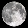 Moonlight phase icon
