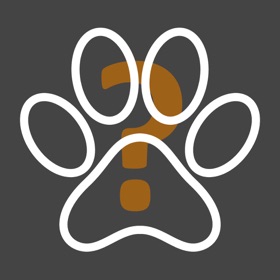 螢幕擷取畫面 (5) Qué Perro