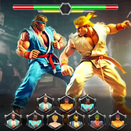 Anime Kung fu Karate Fight Читы
