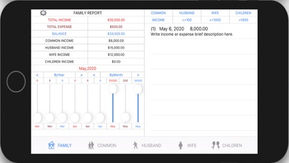 Family Cashflows Screenshot