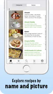 100 lebanese recipes iphone screenshot 2