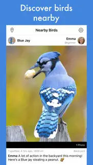 smart bird id iphone screenshot 1