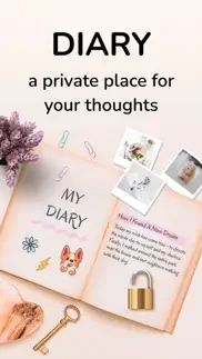 diary with lock: daily journal problems & solutions and troubleshooting guide - 2