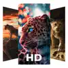 Lion Wallpaper and backgrounds problems & troubleshooting and solutions