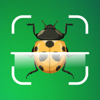 Insect identifier Bug Spider