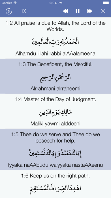 Memorize - Explore the Quran Screenshot