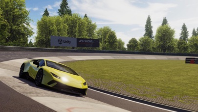 Apex Racing screenshot1