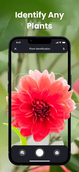 Game screenshot PlantIn: Plant Identifier mod apk