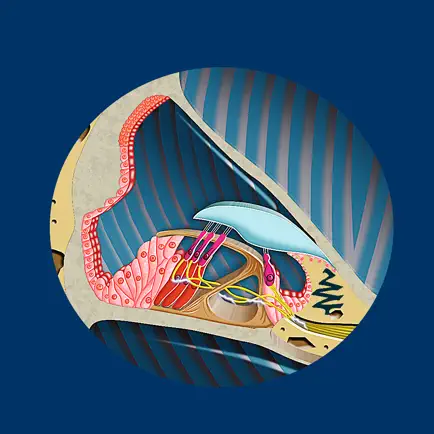 Inner Ear ID Читы