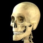 Download Skeleton Study Guide app