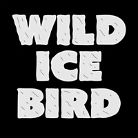 Wild Ice Bird apk