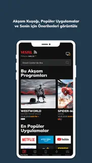 vestel smartcenter problems & solutions and troubleshooting guide - 1