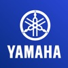 BLU CLUB Yamaha