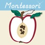 Get Montessori Parts of Fruits for iOS, iPhone, iPad Aso Report