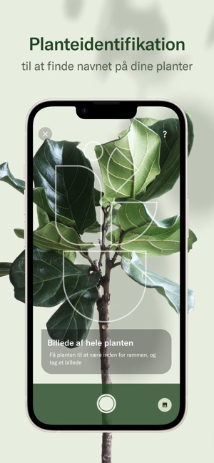 Planta: Hold planterne i live i App Store