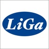 LiGa-风电场宏观选址与踏勘 icon