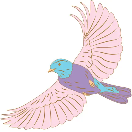 Little Bird Pilates Cheats