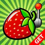 Fruit Salad App Support