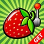 Fruit Salad app download