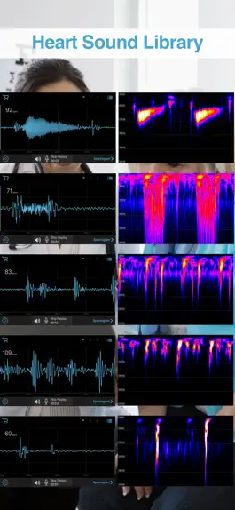 Game screenshot E-Stethoscope & Auscultation hack