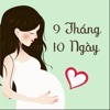 9 Tháng 10 Ngày