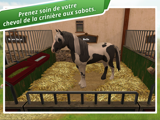 Screenshot #4 pour HorseWorld: Premium