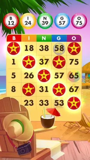 Bingo Country Days Bingo Games screenshot 2