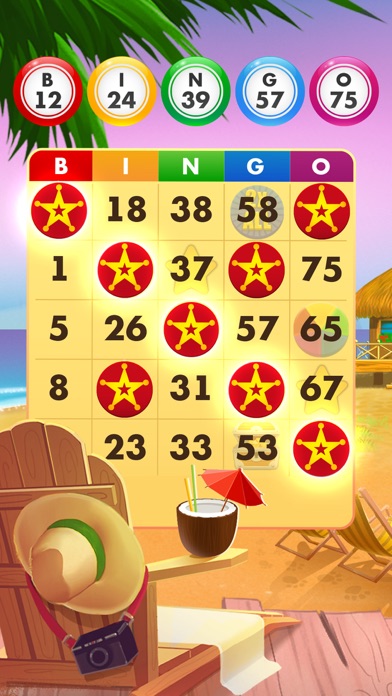 Screenshot #2 pour Bingo Country Days Bingo Games