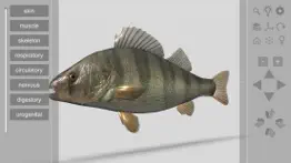3d fish anatomy iphone images 1