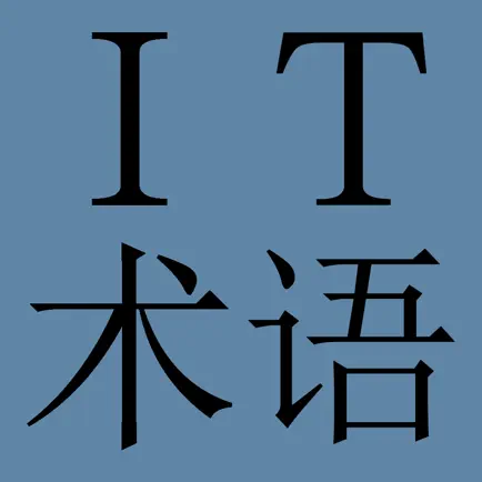 IT/ Computer Dict (Chin-Eng) Читы