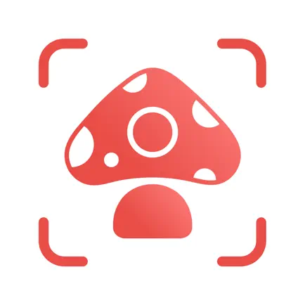 Picture Mushroom - гриб Читы
