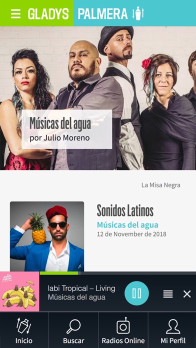 Radio Online Gladys Palmera Screenshot