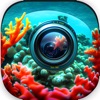 AI Reef Cam - iPhoneアプリ