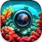 Introducing AI Reef Cam: The Ultimate iOS App for Aquarium Enthusiasts