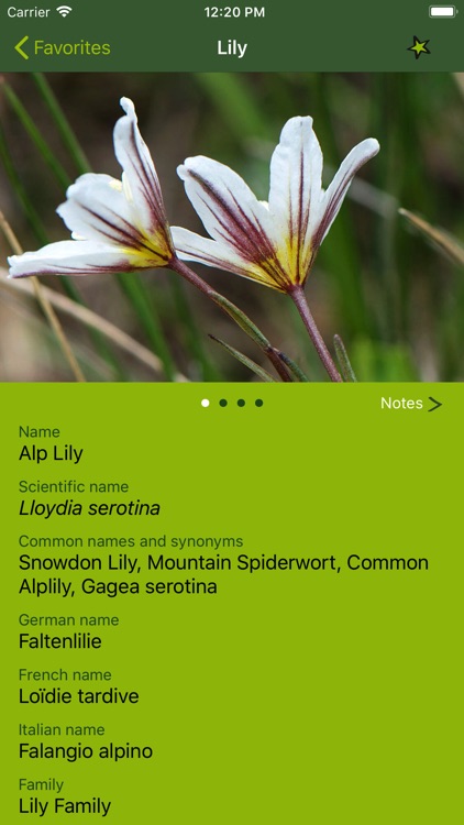 AlpineFlower Finder – Europe screenshot-4