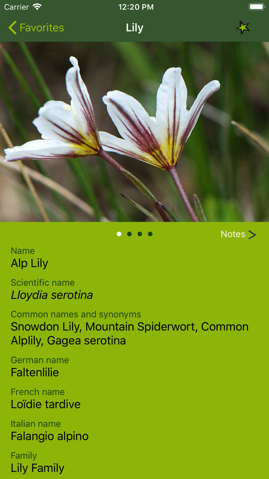 #5. AlpineFlower Finder – Europe (iOS) 由: renata caviglia