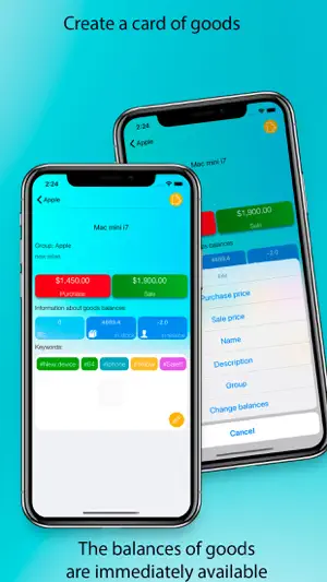 LoPOS - Cloud accounting screenshot 2