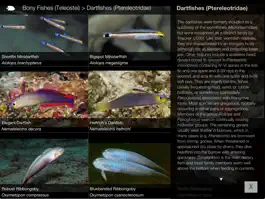 Game screenshot Reef Fishes of East Indies V3 apk