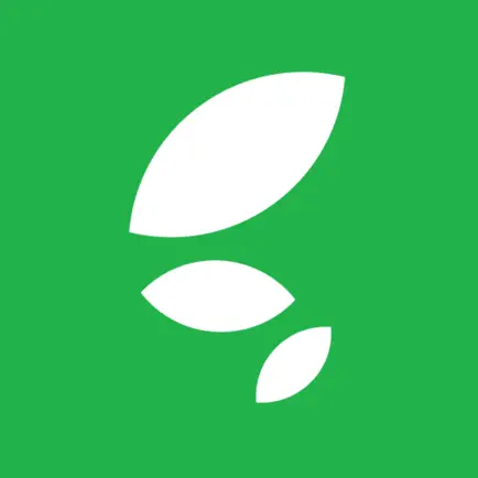 Lectin Light Читы