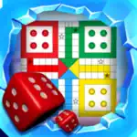 Online Ludo Board Game App Support