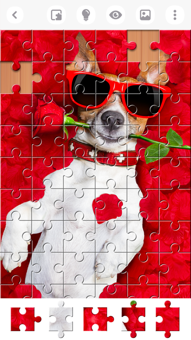 Jigsaw Puzzles Explorer Screenshot